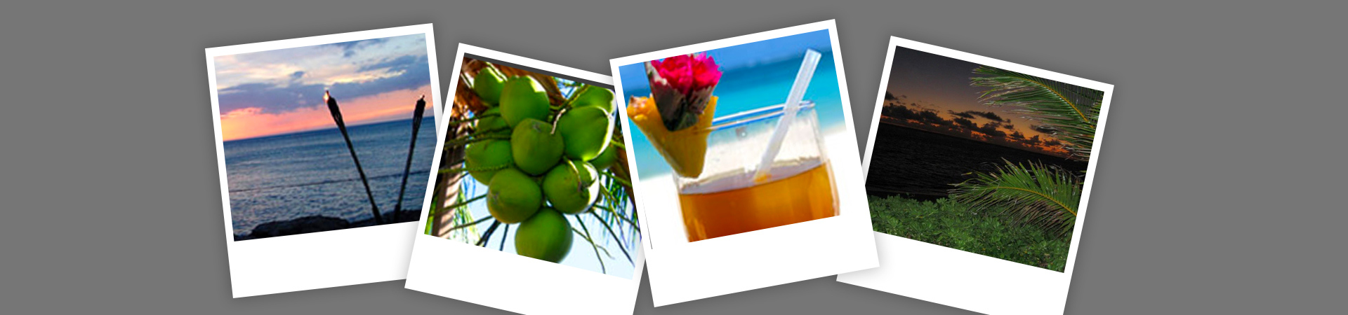 Collage of Sea View, Coconut Tree as well as Mocktail
